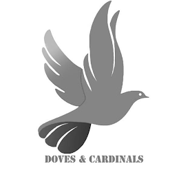 DOVES & CARDINALS logo