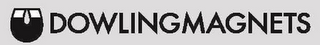 DOWLINGMAGNETS logo