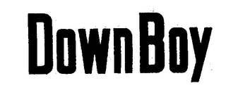 DOWN BOY logo