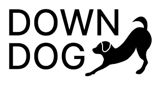 DOWN DOG logo