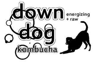 DOWN DOG KOMBUCHA ENERGIZING + RAW logo