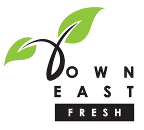 DOWN EAST FRESH logo