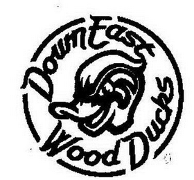 DOWN EAST WOOD DUCKS logo