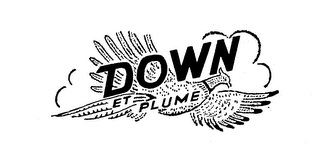 DOWN ET PLUME logo