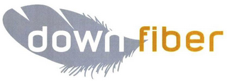 DOWN FIBER logo