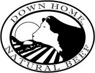 DOWN HOME NATURAL BEEF logo