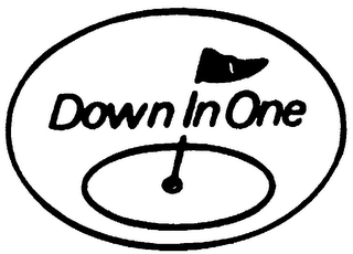 DOWN IN ONE logo
