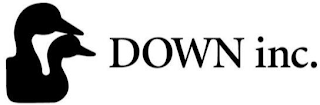 DOWN, INC. logo