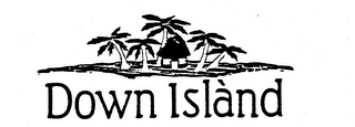 DOWN ISLAND logo