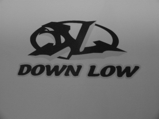 DOWN LOW logo
