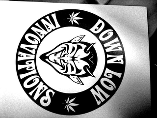 DOWN LOW INNOVATIONS logo
