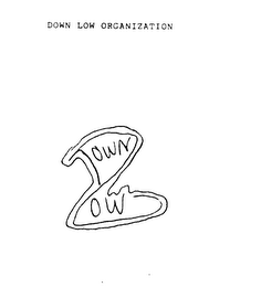 DOWN LOW ORGANIZATION logo
