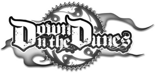 DOWN N THE DUNES logo