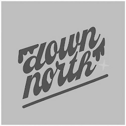 DOWN NORTH logo