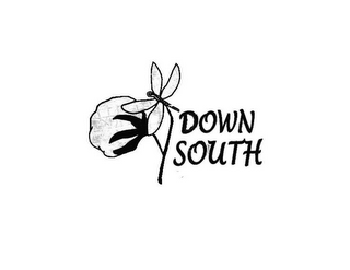 DOWN SOUTH logo