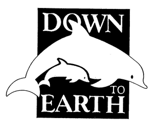 DOWN TO EARTH logo