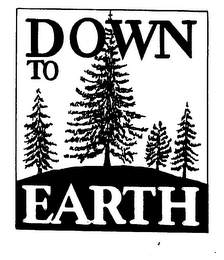 DOWN TO EARTH logo