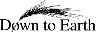 DOWN TO EARTH logo