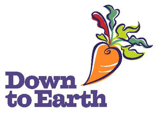 DOWN TO EARTH logo