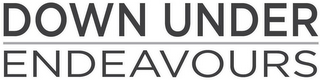 DOWN UNDER ENDEAVOURS logo