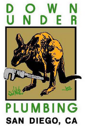 DOWN UNDER PLUMBING SAN DIEGO, CA logo