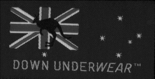 DOWN UNDERWEAR logo