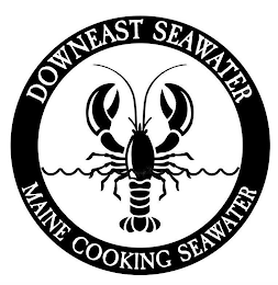 DOWNEAST SEAWATER MAINE COOKING SEAWATER logo