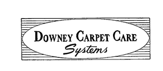 DOWNEY CARPET CARE SYSTEMS logo