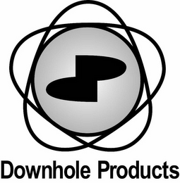 DOWNHOLE PRODUCTS logo