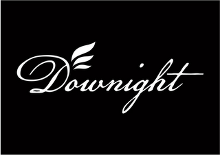 DOWNIGHT logo