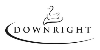 DOWNRIGHT logo