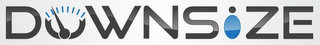 DOWNSIZE logo