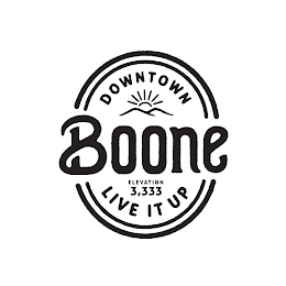 DOWNTOWN BOONE ELEVATION 3,333 LIVE IT UP logo