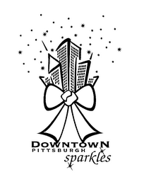 DOWNTOWN PITTSBURGH SPARKLES logo