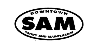 DOWNTOWN SAM SAFETY AND MAINTENANCE logo