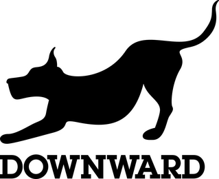 DOWNWARD logo