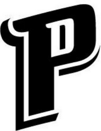 DP logo