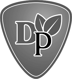 DP logo