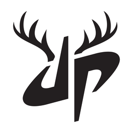DP logo