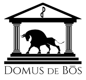 DP DOMUS DE BOS logo