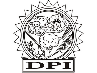 DPI logo