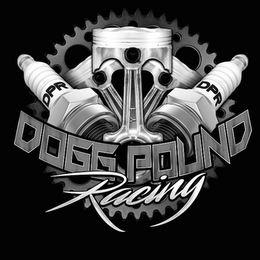 DPR DPR DOGG POUND RACING logo