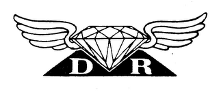 DR logo