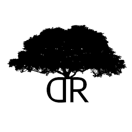 DR logo