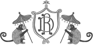 DR logo