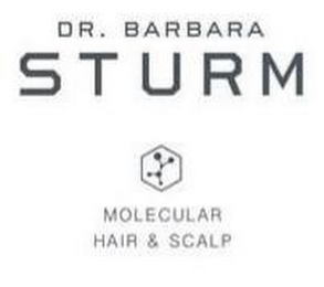 DR. BARBARA STURM MOLECULAR HAIR & SCALP logo