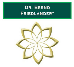 DR. BERND FRIEDLANDER logo