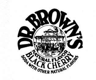 DR. BROWN'S CENTRAL PARK CAROUSEL NATURAL FLAVOR BLACK CHERRY SODA WITH OTHER NATURAL FLAVORS logo