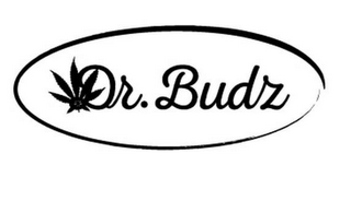 DR. BUDZ logo