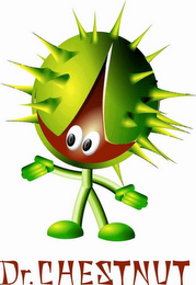 DR. CHESTNUT logo